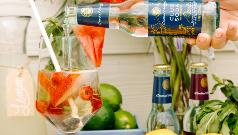 Create A Backyard Spritzer Bar Your Guests Will Love All Summer ...