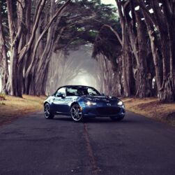 Mazda MX5 Roadster in Tree Tunnel