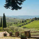 A Tuscan road trip